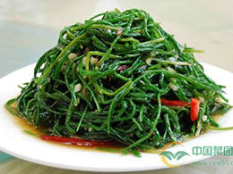 鸭不凡飘香凉拌菜